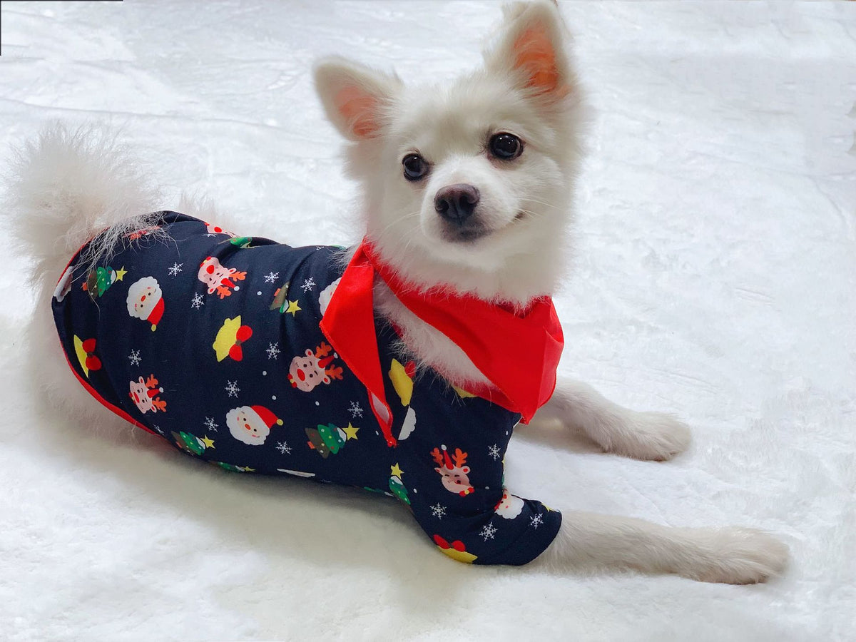 Family Matching Christmas Pajamas – Santa and Reindeer Print