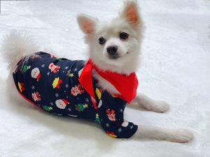 Family Matching Christmas Pajamas – Santa and Reindeer Print